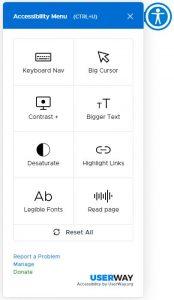 Website accessibility tool